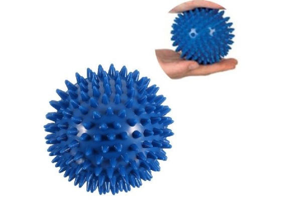 SSP 005